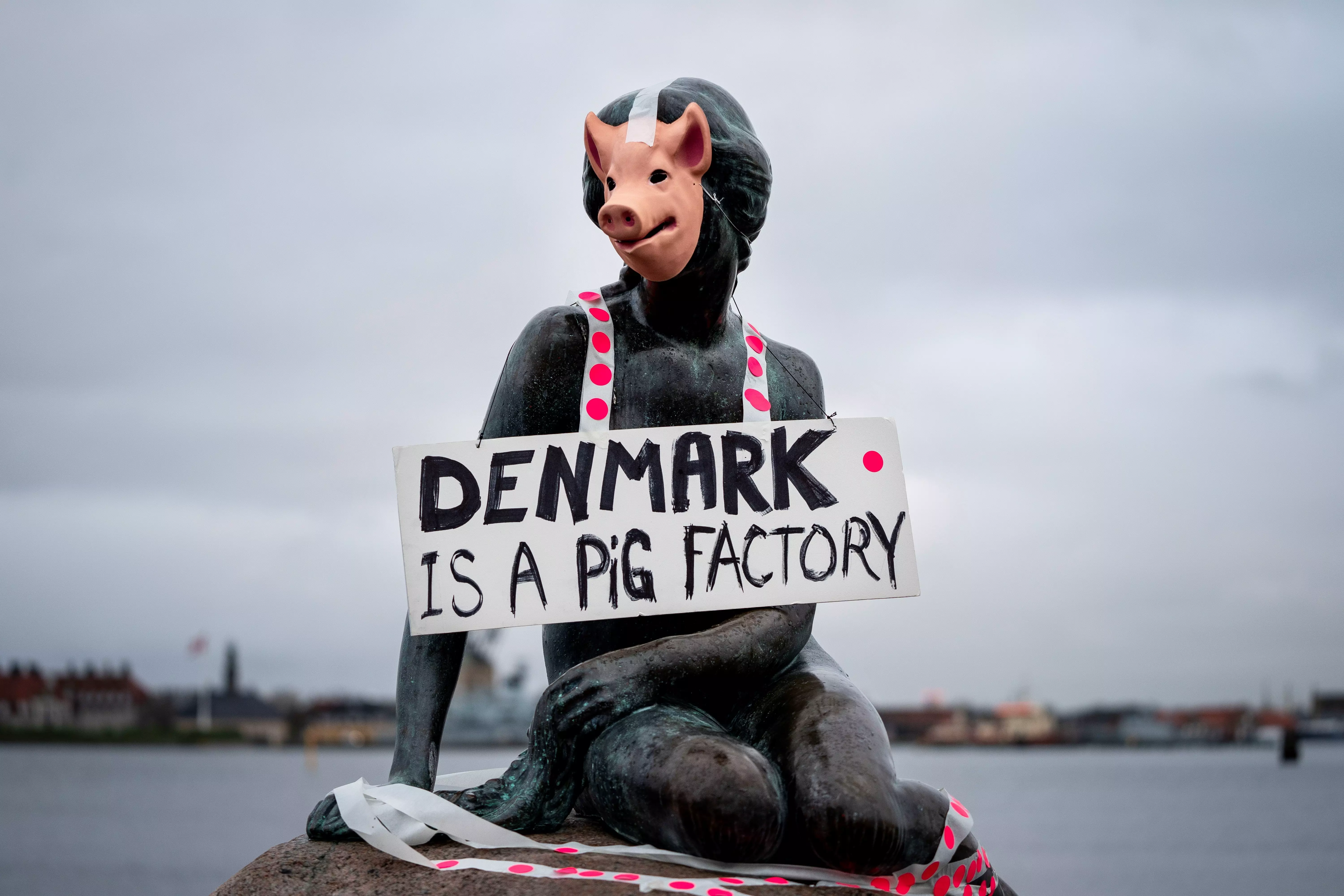 Dänemark verzichtet auf Fleisch, Deutschland steht kurz davor
