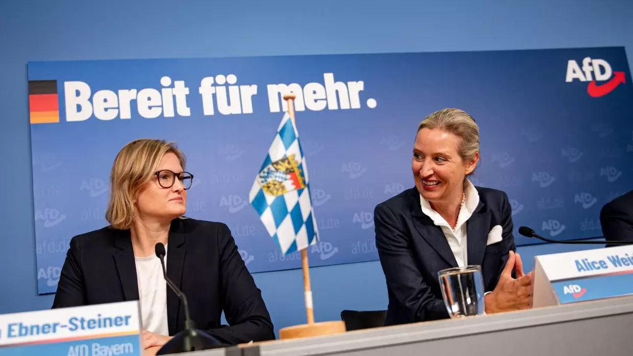 Was will die AfD – DENAE