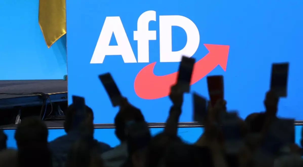 Bundestagswahl: Musks Unterstützung hilft AfD